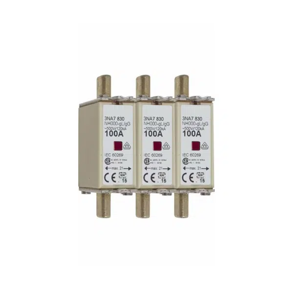Sicherungseinsatz 100A DC Für PSU 24V 2/4 (1VPE)