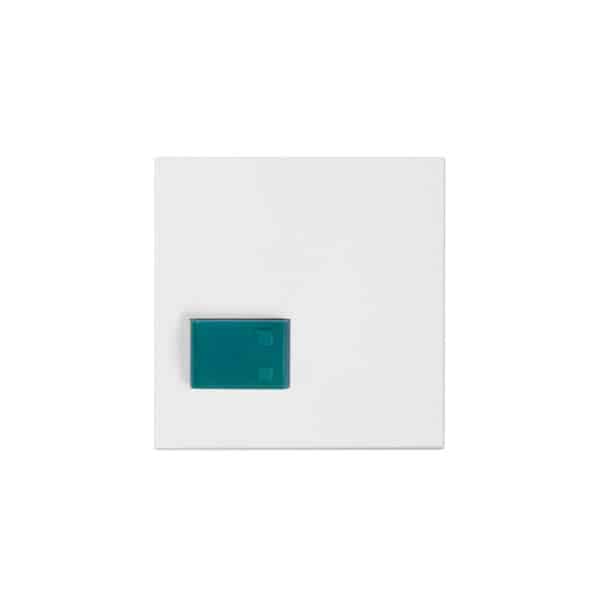 Abdeckplatte Abstelltaster -AW1- (grün)