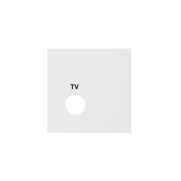 Abdeckplatte TV-Steuermodul